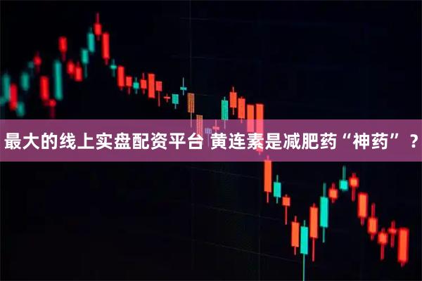 最大的线上实盘配资平台 黄连素是减肥药“神药” ？